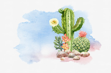 Watercolor collection cactus cacti and succulents in stones. Cacti, Cactus, Watercolor background digital file  isolated on white background. This has clipping path.