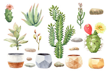 Watercolor collection cactus cacti and succulents in pots. Cactus Paint, Clipping path.