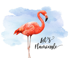 Watercolor Flamingo bird animal with watercolor background Bird digital file, Flamingo paint isolated on white background. This has clipping path.