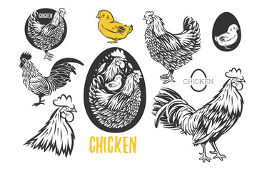 Chicken logo set