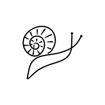 Linear sketch of a snail. Vector illustration