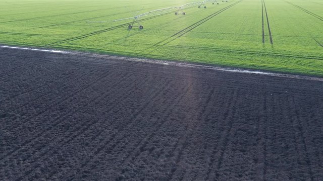 Aerial view of center-pivot irrigation sprinkler in wheat field