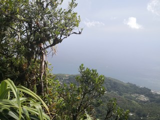 Seychellen, Karibik, Malediven, Mauritius, Reunion, Hawaii, Strand, Meer, Sonne, Urlaub, Reisen, Ferien, Palmen, Beach, Tropisch, Insel, Himmel, Wasser, Sommer, Paradies, Dschungel, Küste