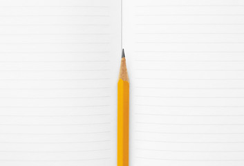 orange pencil in the middle of a spread of blank notebook pages, notebook for business