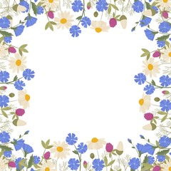 Summer spring floral frame. Greeting card with blooming wild flowers. Design for herbal tea, natural cosmetics, perfume, health care products, homeopathy, aromatherapy.