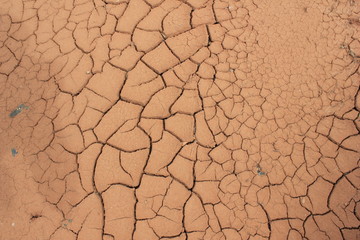 Dry land, without water, in spring