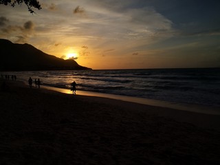 Obraz premium Seychellen, Karibik, Malediven, Mauritius, Reunion, Hawaii, Strand, Meer, Sonne, Urlaub, Reisen, Ferien, Palmen, Beach, Tropisch, Insel, Himmel, Wasser, Sommer, Paradies, Dschungel, Küste