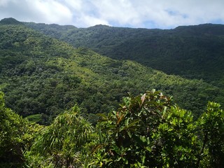 Seychellen, Karibik, Malediven, Mauritius, Reunion, Hawaii, Strand, Meer, Sonne, Urlaub, Reisen, Ferien, Palmen, Beach, Tropisch, Insel, Himmel, Wasser, Sommer, Paradies, Dschungel, Küste