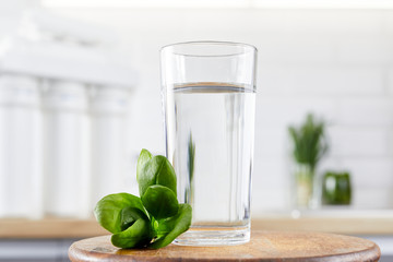 close up glass of clean water with osmosis filter, green leaves on a wooden table in kitchen....
