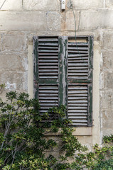 Shutters with peeled off paint in shades of green, below left a bush.