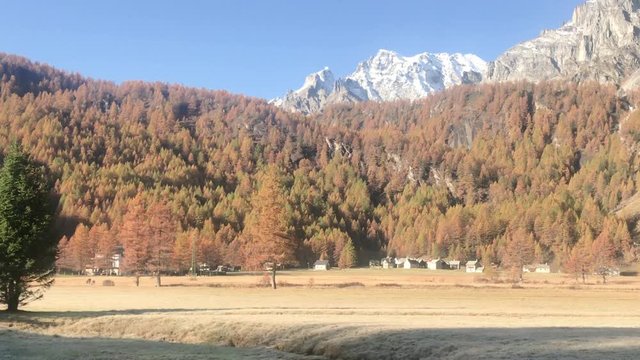 Devero River, Autumn Season Of Devero Alp
