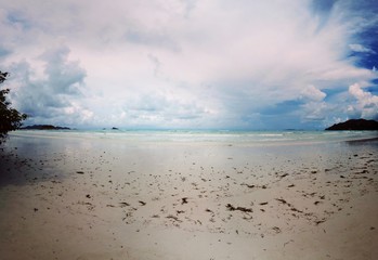 Fototapeta premium Seychellen, Karibik, Malediven, Mauritius, Reunion, Hawaii, Strand, Meer, Sonne, Urlaub, Reisen, Ferien, Palmen, Beach, Tropisch, Insel, Himmel, Wasser, Sommer, Paradies, Dschungel, Küste