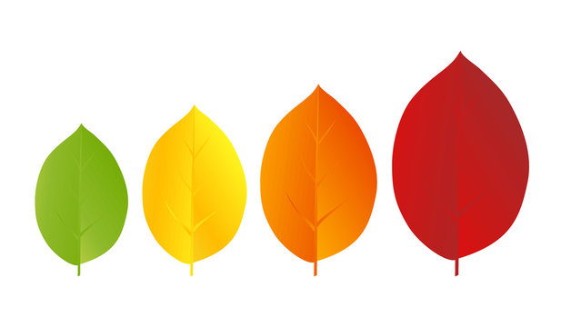 Colorful leaves background