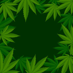 Marihuana, konopie indyjskie - tło © clivio1