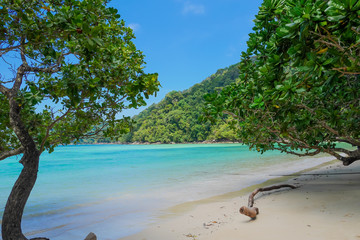 sea of tropical island, Surin island, Thailand