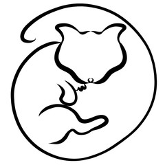 kitten with a long tail curled up in a collar, black outline