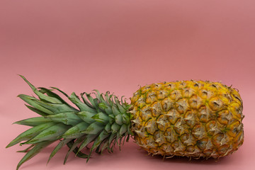Pineapple lying horizontally isolated on a pink background with space for text at the top of the image. Healthy food concept.
