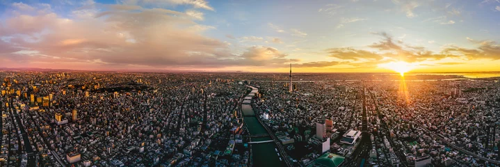 Fotobehang Aerial shot of Tokyo city, Japan © fenlio