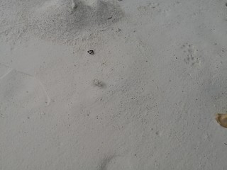 Seychellen, Karibik, Malediven, Mauritius, Reunion, Hawaii, Strand, Meer, Sonne, Urlaub, Reisen, Ferien, Palmen, Beach, Tropisch, Insel, Himmel, Wasser, Sommer, Paradies, Dschungel, Küste