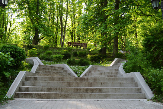 Concrete stairs between the trees in a park, Govora Romania