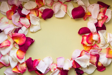 Rose petals of different colors and shades are scattered around the edge of the image. There is a place for text in the center of the photo. Horizontal photo.