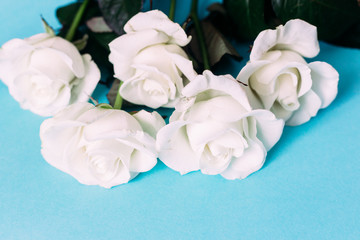 Obraz na płótnie Canvas bouquet of white roses on a blue background