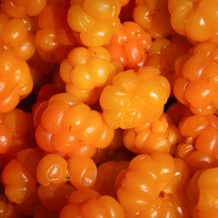 cloudberries
