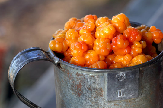 cloudberries