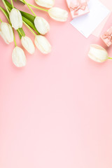 White tulip on pastel pink background. Traditional holiday gift.
