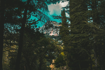 Monte en el campo 