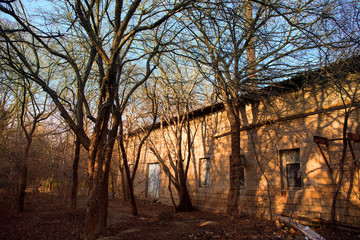 Fototapeta na wymiar Abandoned burned old house in winter at sunset in forest. Abandoned hunting lodge in the warm rays of the sun in the middle of the forest.