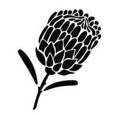 Proteus flower silhouette. Graphic african exotic plant. Flower bud for logo, embossing, designer prints on clothes, paper, cards, stickers, t-shirts.