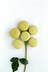 Homemade green macarons seen from above