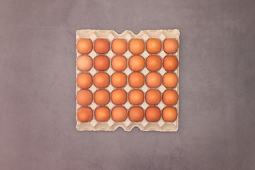 Fresh and organic eggs in cardboard box 
