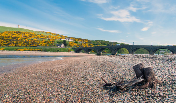 รูปภาพMacduff เลือกดูภาพถ่ายสต็อก เวกเตอร์ และวิดีโอ92 Adobe Stock