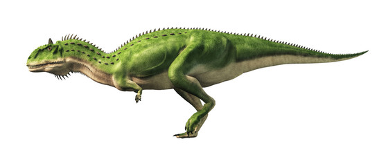 Majungasaurus was a carnivorous theropod dinosaur that lived in Cretaceous era Madagascar. A cousin species to carnotaurus, it had a horn on its head. 3D Rendering  © Daniel Eskridge