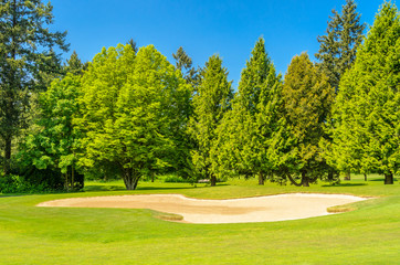 Golf course with gorgeous green and sand bunker
