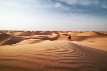 Sand dunes in desert landscape - obrazy, fototapety, plakaty