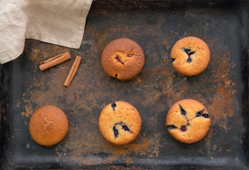 Baked muffins with cinnamon and chocolate on a griddle plate