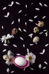 Happy Easter concept. White easter eggs with flower petals lay on the dark background. Easter decorative flat lay. View from above to easter eggs and petals
