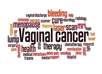 Vaginal cancer word cloud concept