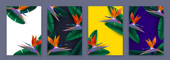 Vector tropical vertical banners set with  leaves and parrot flower on different colorful background. Exotic design for cosmetics, health care products. Can be used as wedding or summer background. © Julia