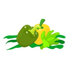 Diet food icon. Isometric illustration of diet food vector icon for web