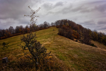 Obraz premium Landscape hills and trees.Autumn landscape.