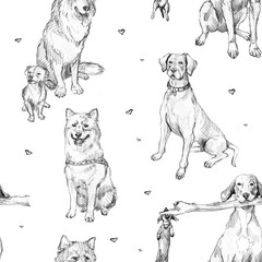 Cute seamless pattern with puppies. Pencil drawn  husky, retriever, shepherd, terrier. Background with dog perfect for children's textiles, wrapping, cards, cover, wallpaper, veterinary