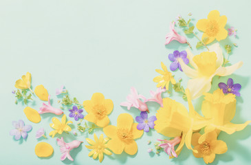 Fototapeta na wymiar spring flowers on green background