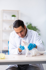 Young male doctor examining sick cat