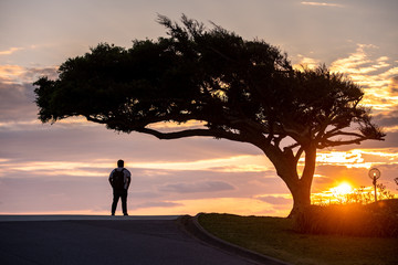 Silhouette of a man and a tree during sunset time - 323763128