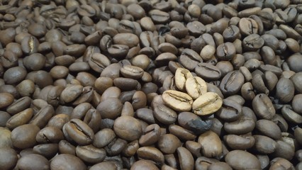 Manglayang roasted coffee beans have a unique taste because it grows among pine trees