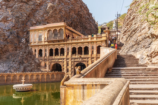 Famous monkeys of the Galta Ji Temple, Jaipur, India